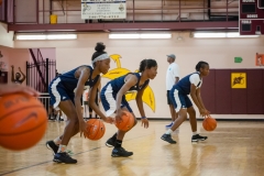 2018 Emerald Gems Basketball Camp