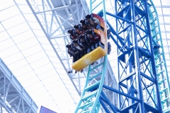 Roller Coaster Scream