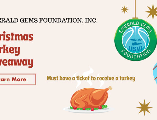 Emerald Gems Foundation, Inc. 2nd Annual Christmas Turkey Giveaway